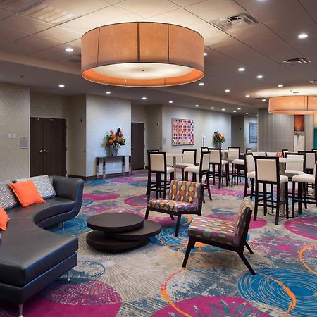 Springhill Suites By Marriott Houston Hwy. 290/Nw Cypress Dış mekan fotoğraf